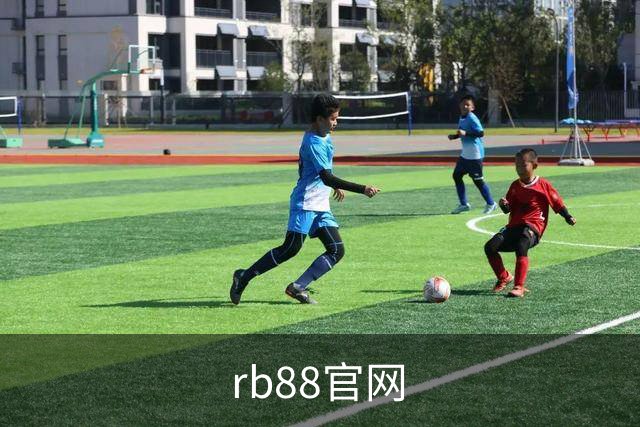 rb88官网公司介绍
